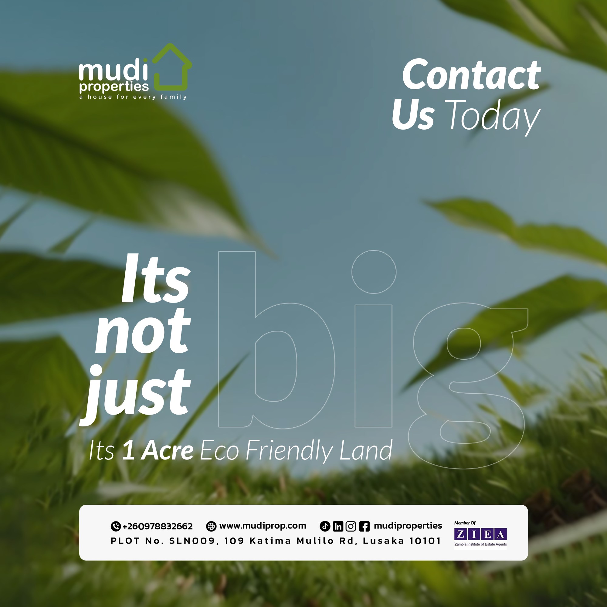 Mudi Properties campaign artwork